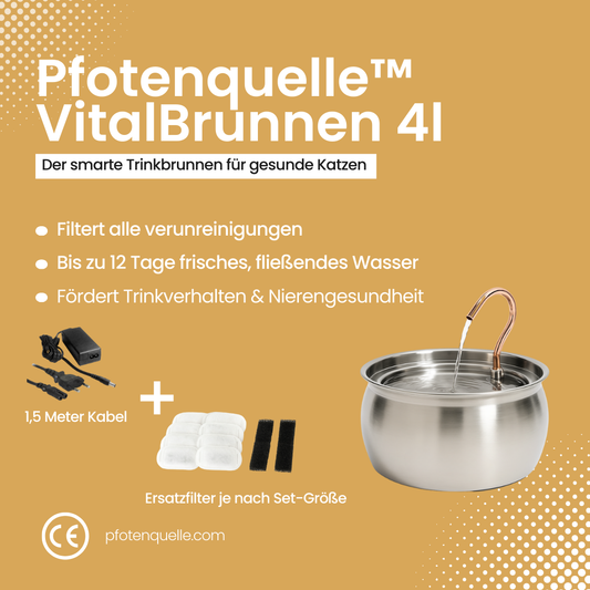Pfotenquelle™ VitalBrunnen 4L