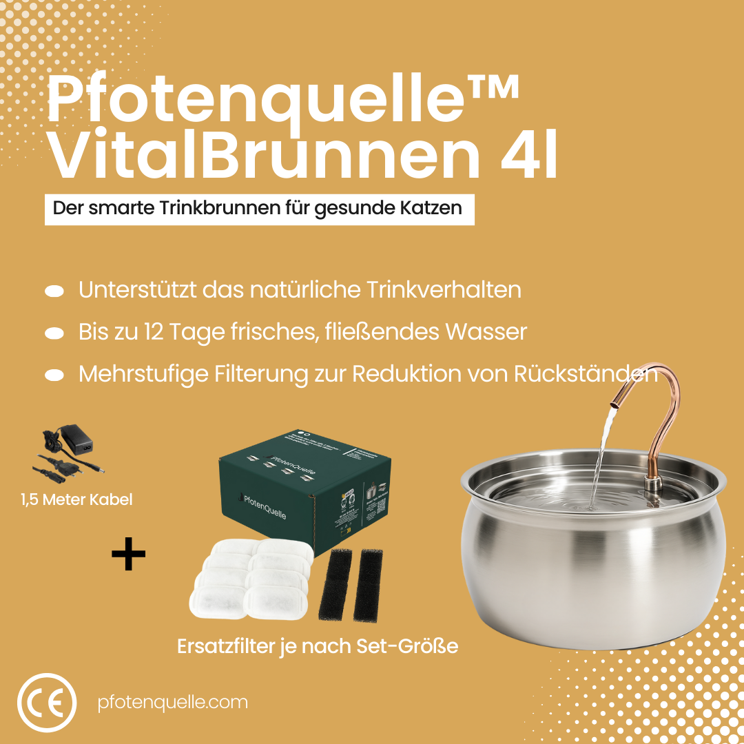 Die Pfotenquelle™ 4L