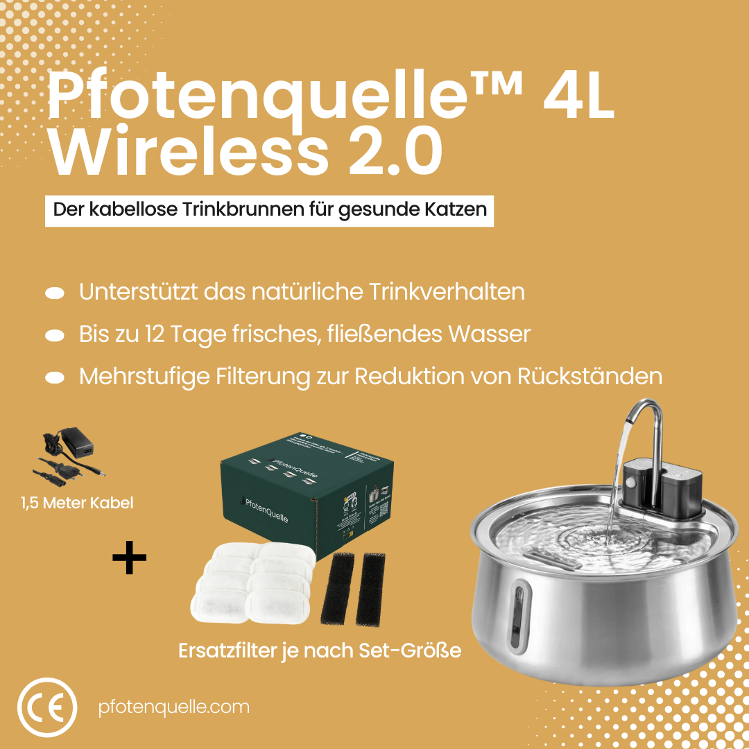 Die Pfotenquelle™ 4L Wireless 2.0