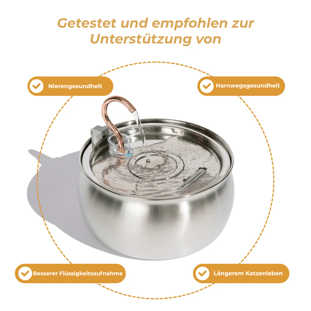 Pfotenquelle™ VitalBrunnen 4L