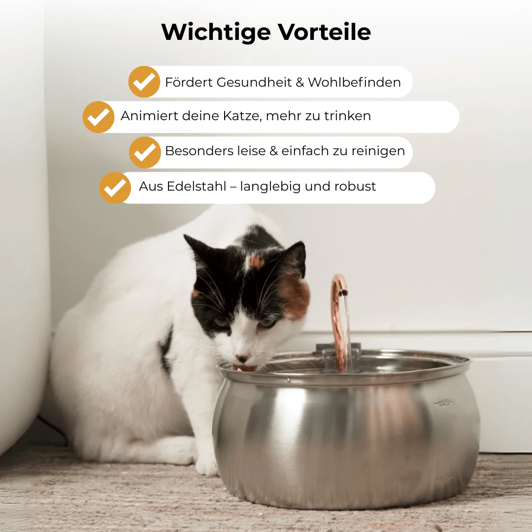 Pfotenquelle™ VitalBrunnen 4L
