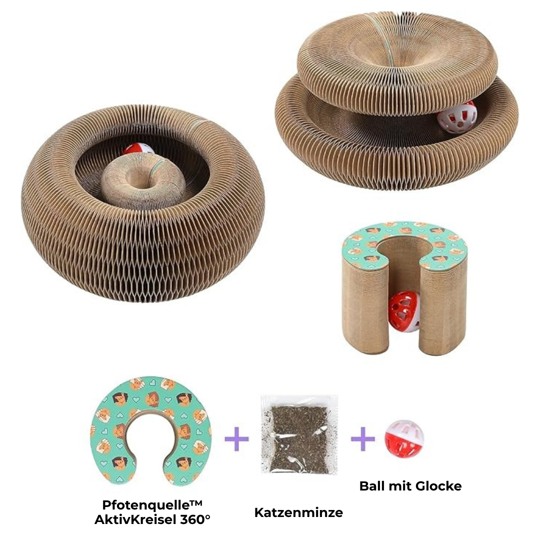 Pfotenquelle™ KratzKreisel