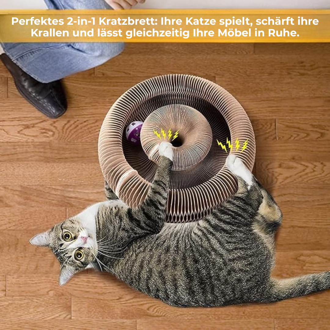 Pfotenquelle™ KratzKreisel