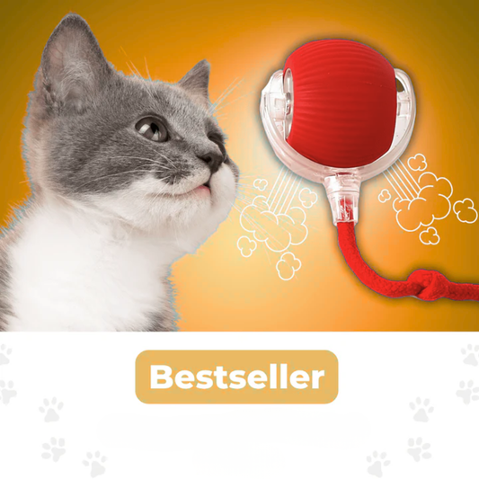 Pfotenquelle™ Action Ball