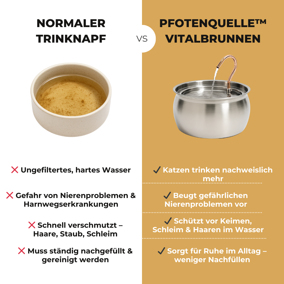 Pfotenquelle™ VitalBrunnen 4L