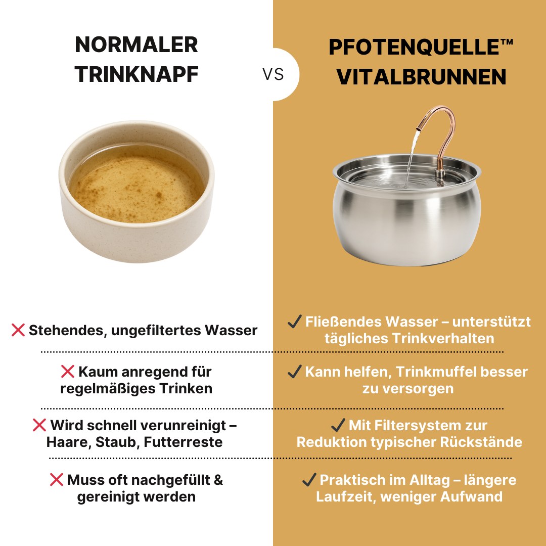 Die Pfotenquelle™ 4L