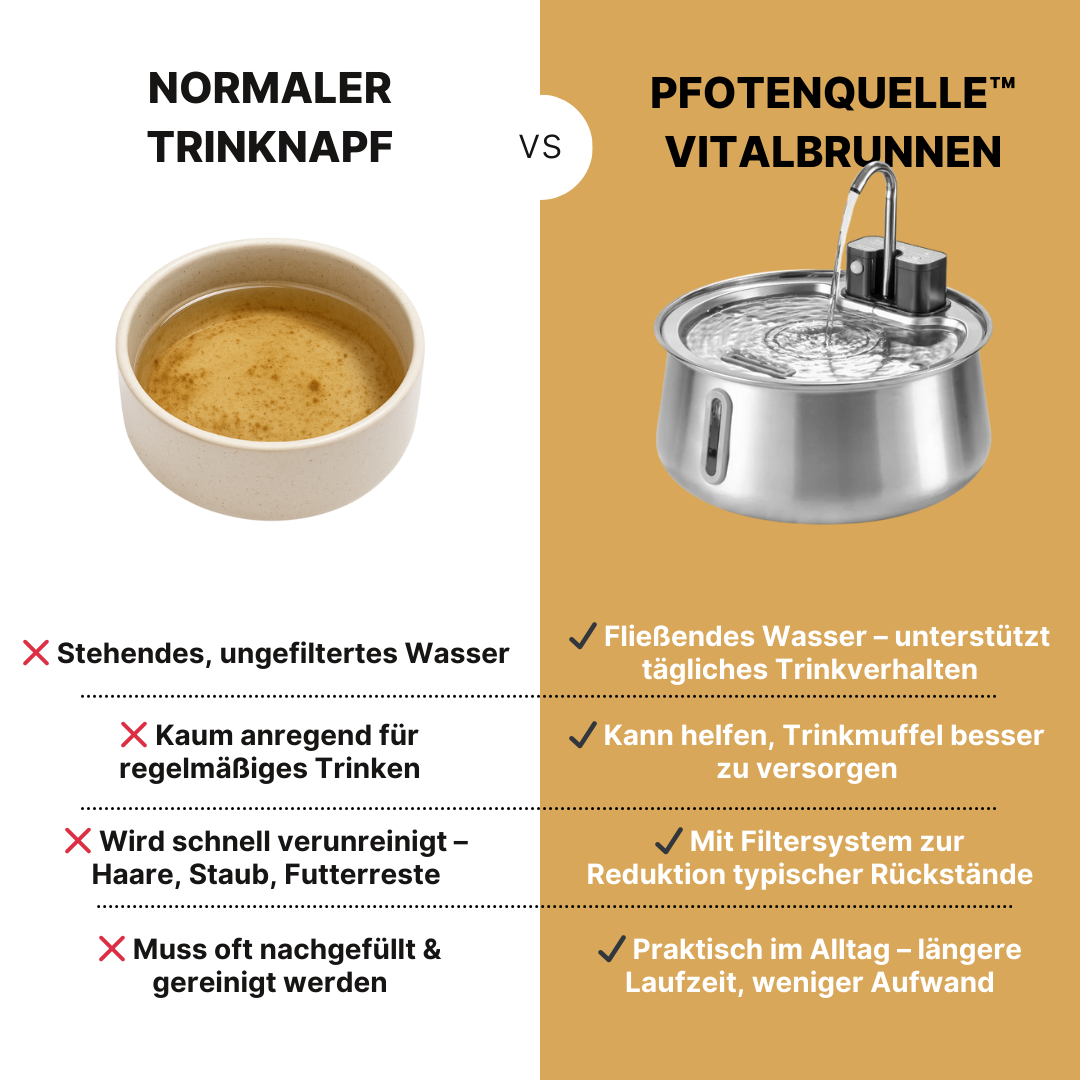 Die Pfotenquelle™ 4L Wireless 2.0