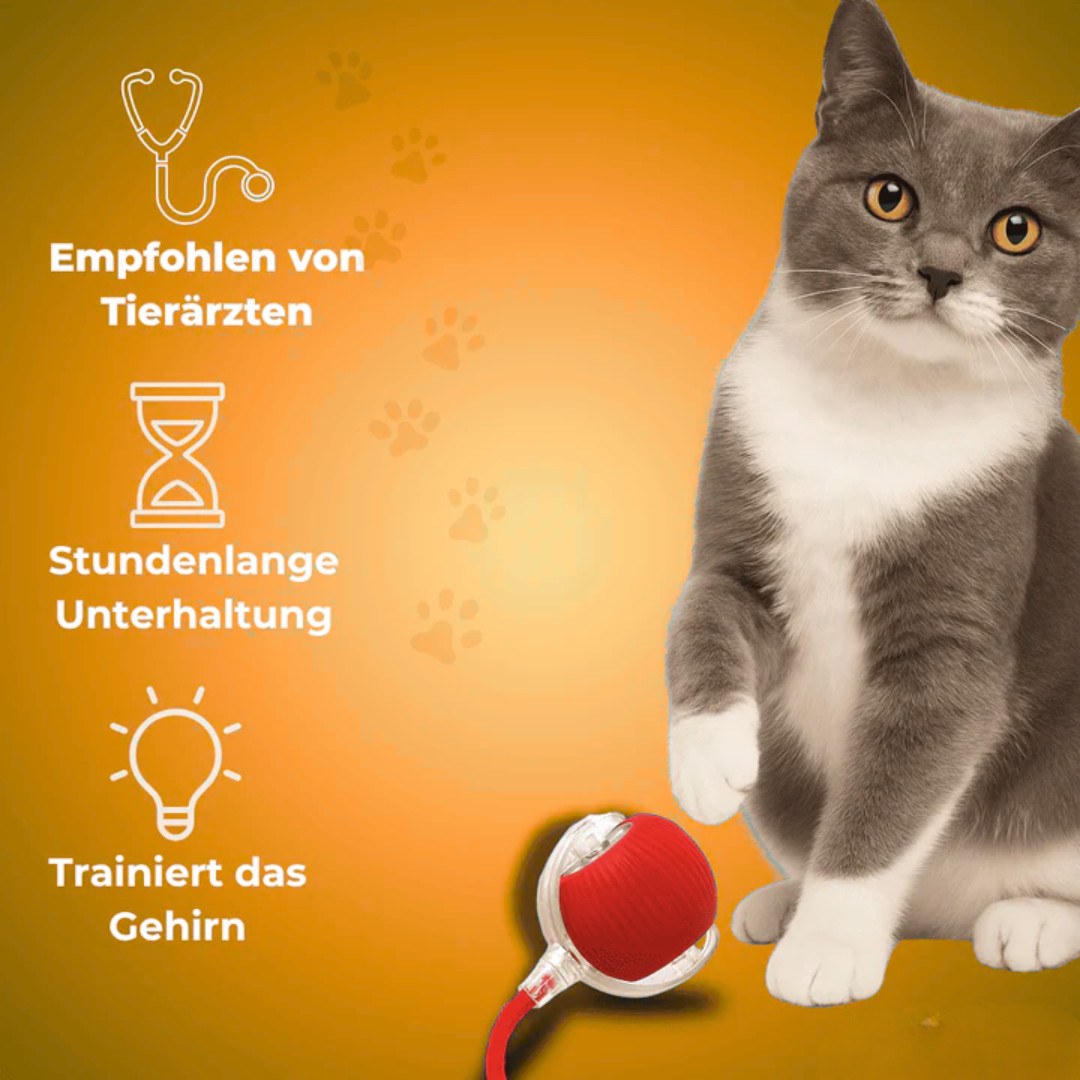 Pfotenquelle™ Action Ball