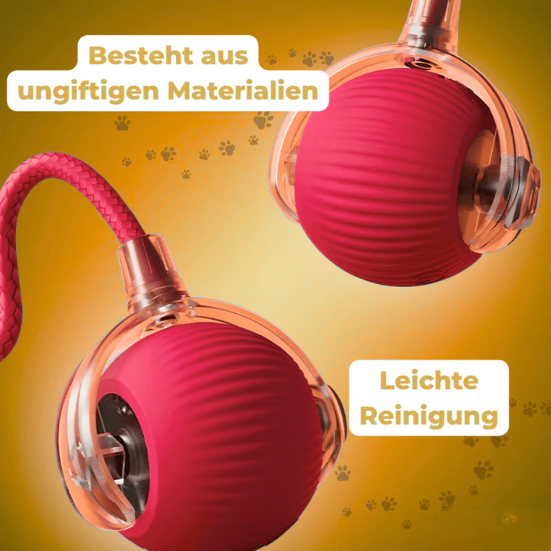 Pfotenquelle™ Action Ball