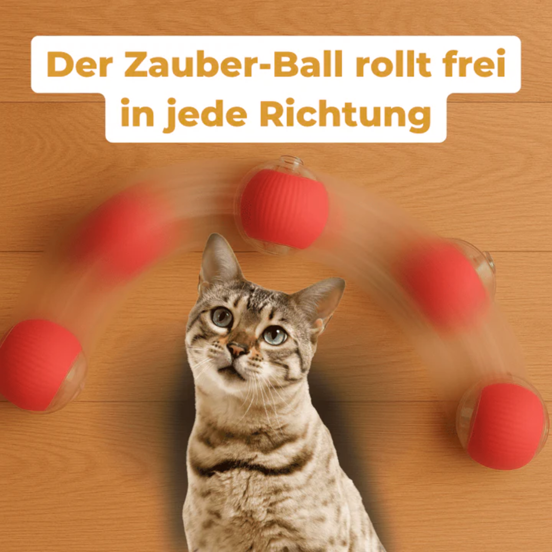 Pfotenquelle™ Action Ball