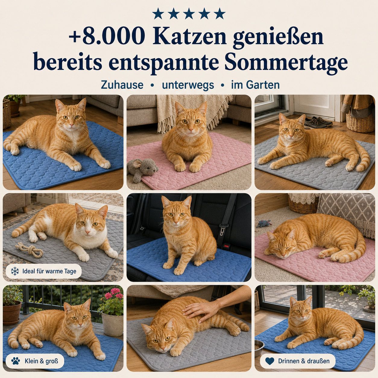 Pfotenquelle™ Kühlmatte für Katzen 2-für-1